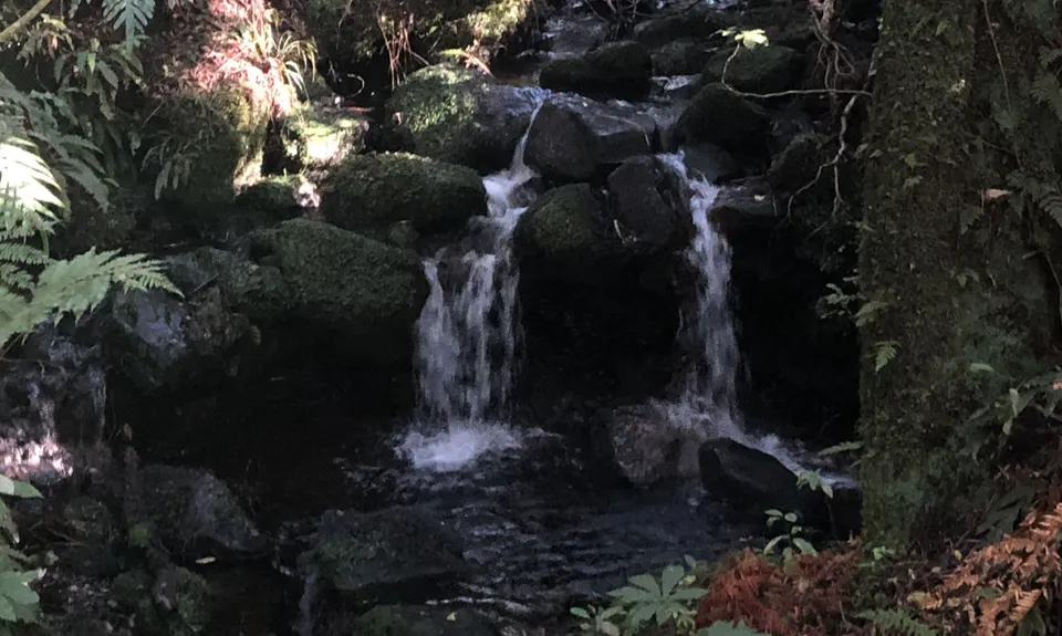 Waiwhakaiho Track, Taranaki
