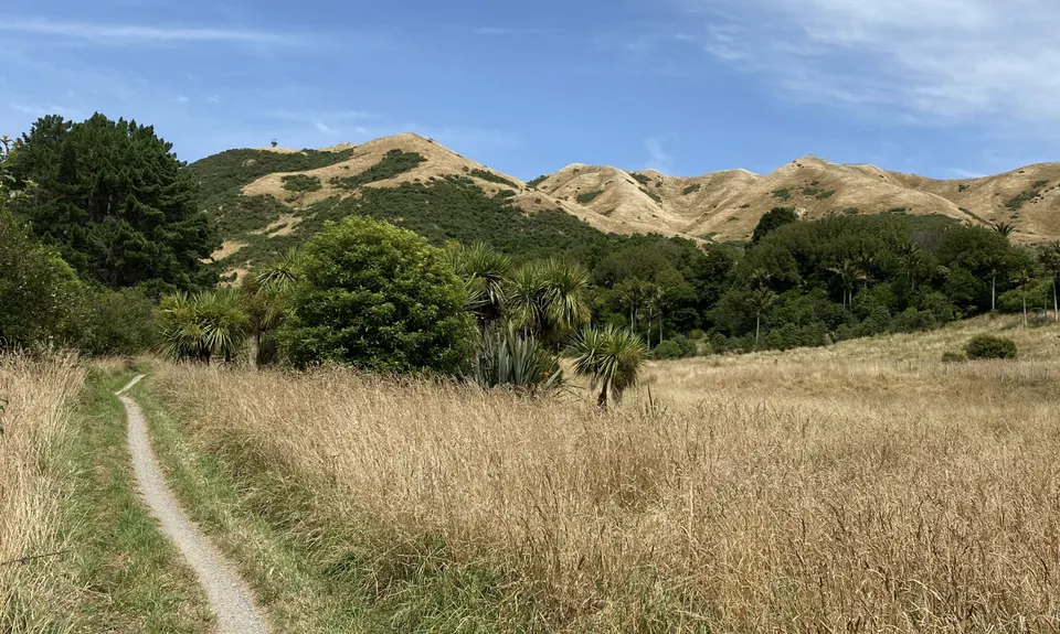 Perhams Road Loop, Wellington