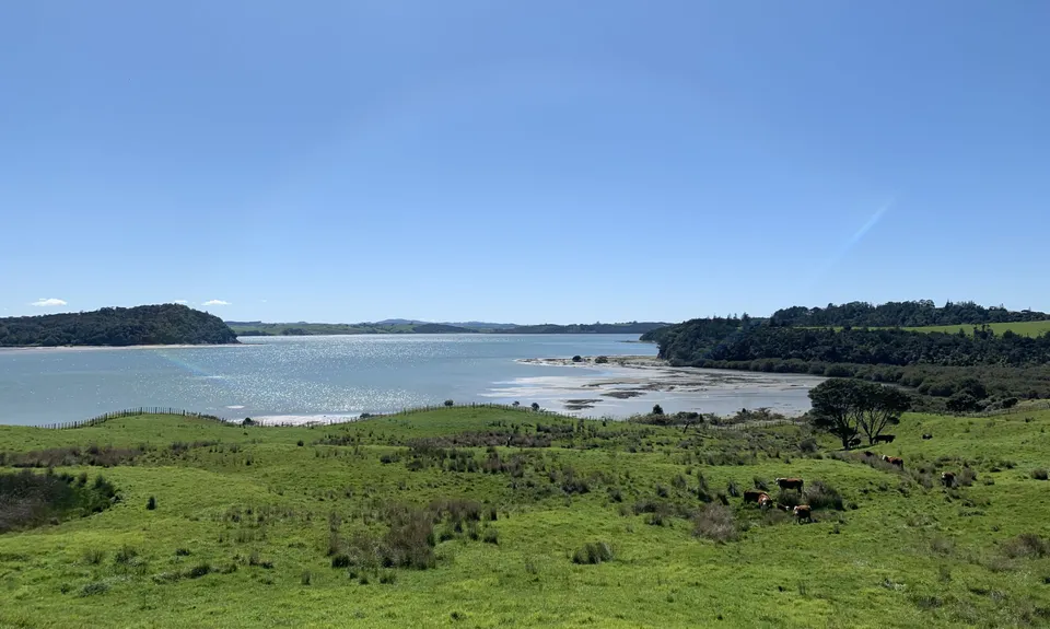 Atiu Creek Runabout., Auckland