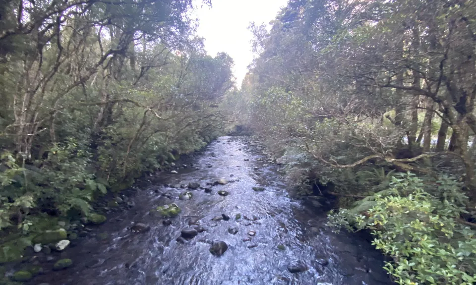 Ohakune Town/Forest Loop, Manawatu - Wanganui