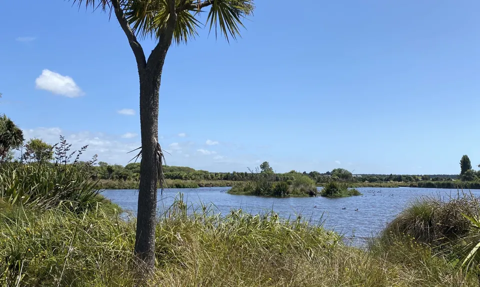 Travis Wetland Loop, Canterbury