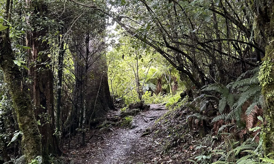 Bell Hill Loop, Hawkes Bay