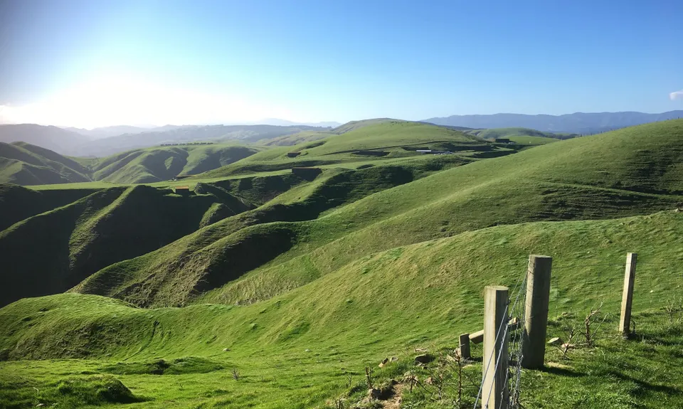 Belmont Regional Park - Oakleigh to Hill, Wellington