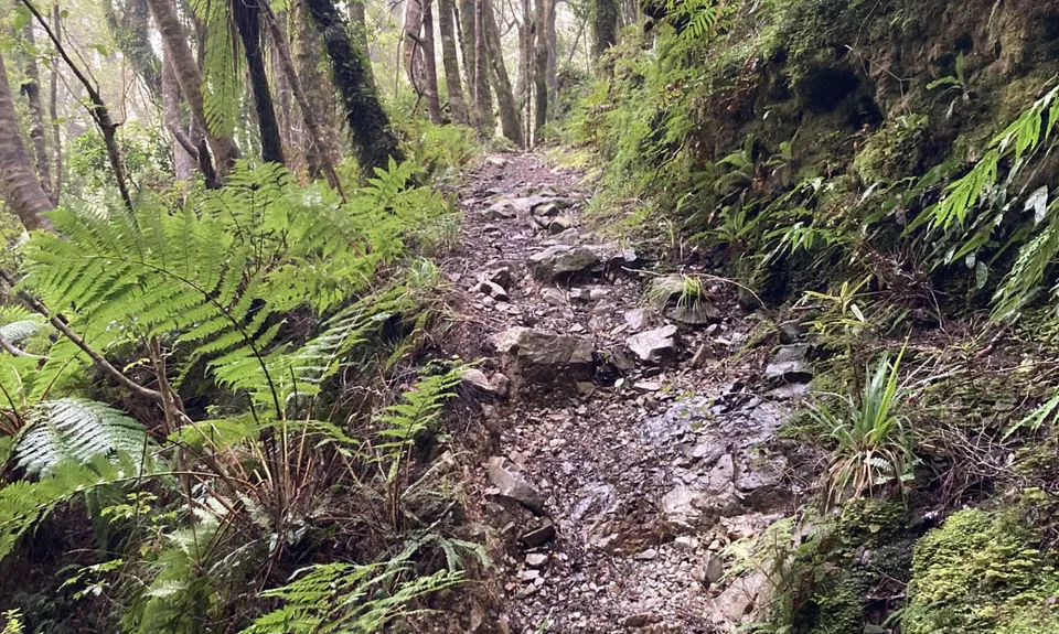 Catchpool Dress Circle, Wellington