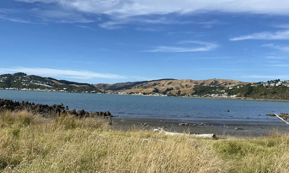 Whitireia Circuit, Wellington