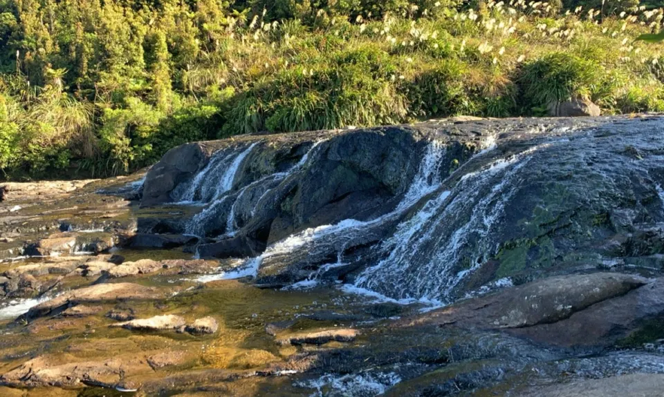Kaimai Summit to Wairere Falls , Waikato