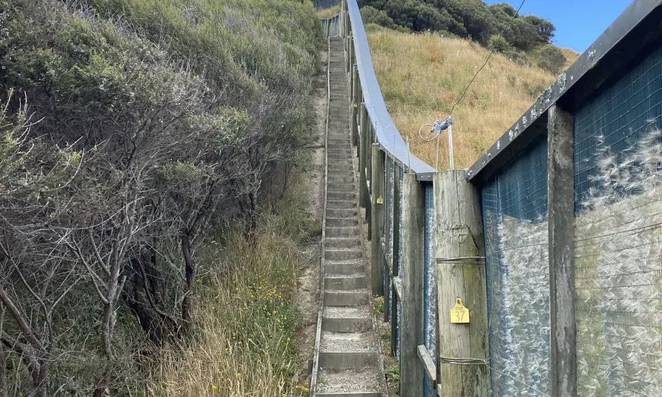 Rotokare Loop-da-Loop, Taranaki