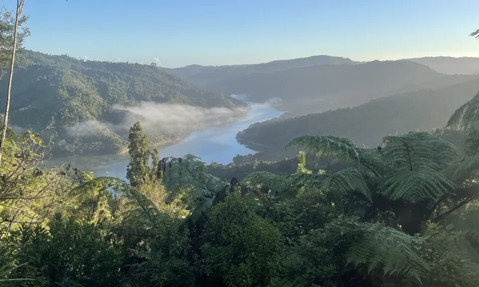 Wairoa Suspension Loop, Auckland