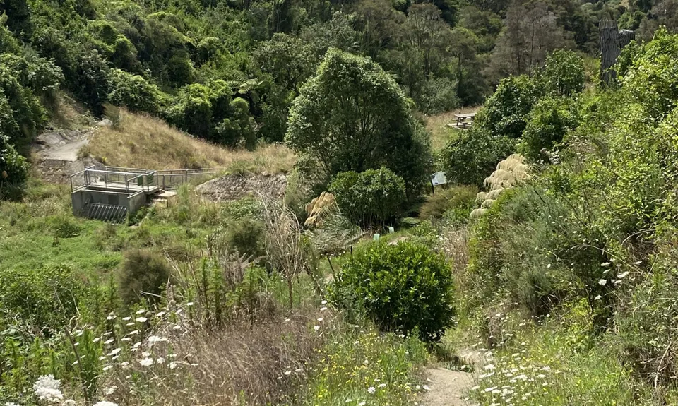 Big Gum Boogie, Tasman