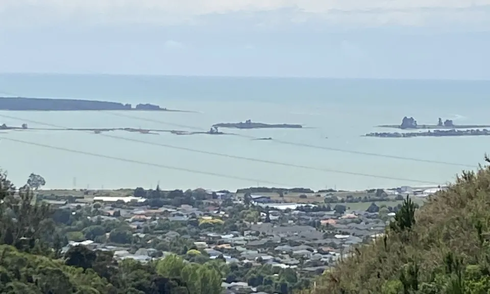 Big Gum Boogie, Tasman