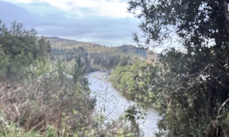 Birchville Dam Loop, Wellington