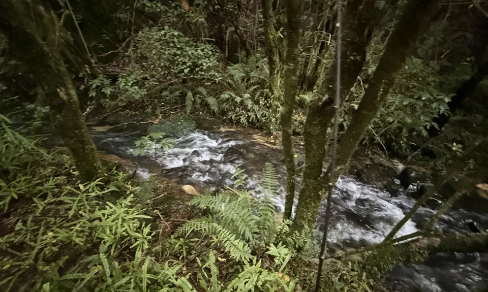 Birchville Dam Loop, Wellington