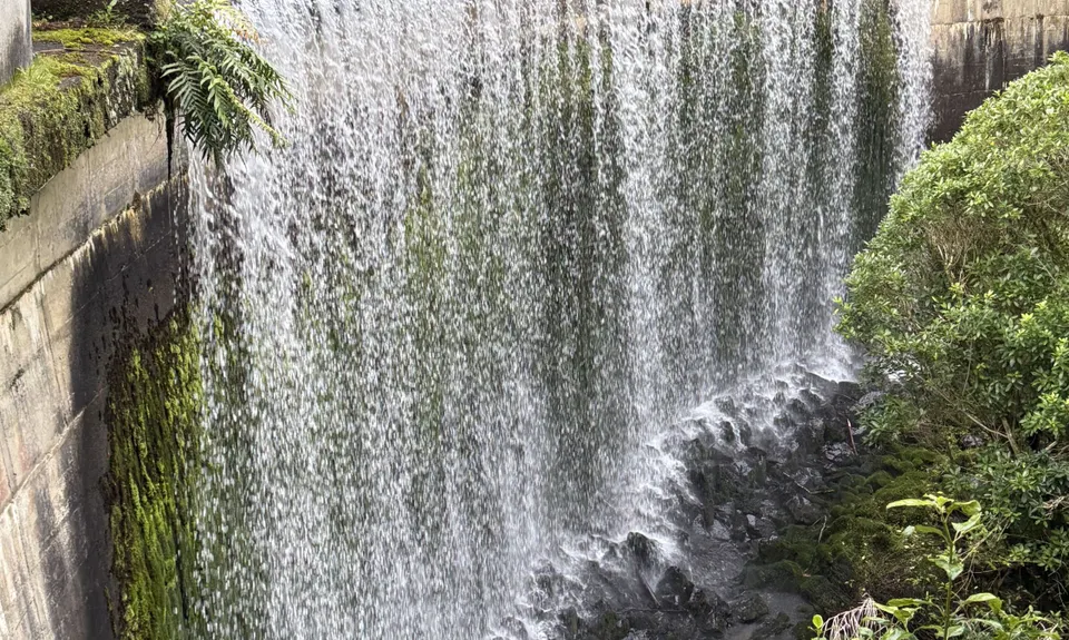 Birchville Dam Loop, Wellington