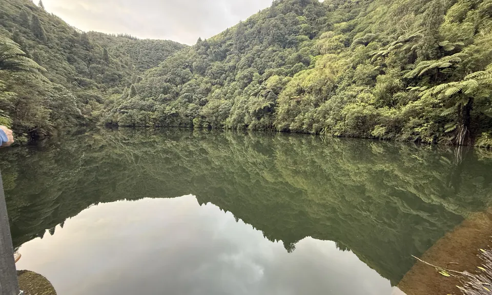 Birchville Dam Loop, Wellington