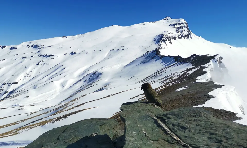 Black Peak - Harris Mountains