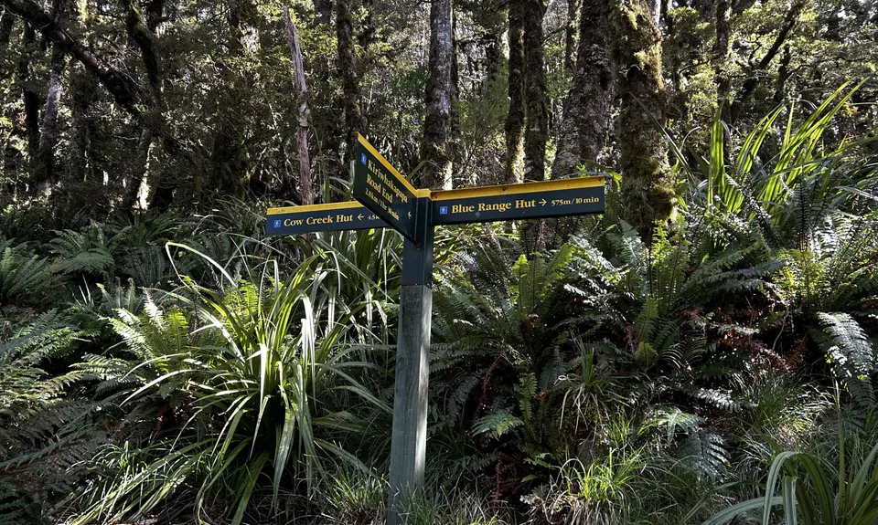 Blue Range Hut, Wellington