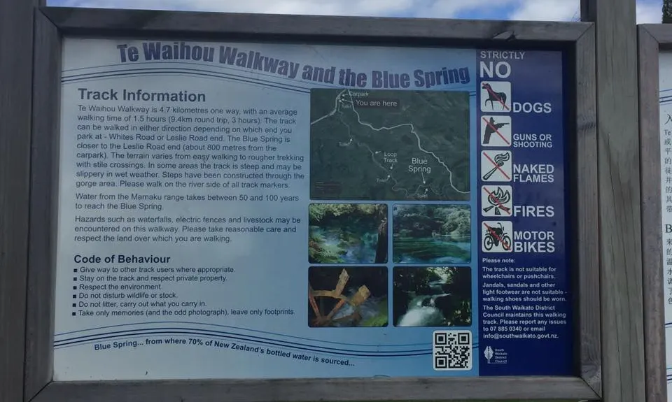 Te Waihou Walkway, Waikato