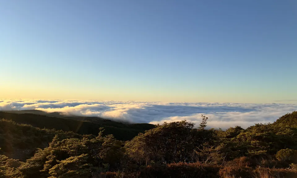 Blyth Alpine Loop, Manawatu - Wanganui