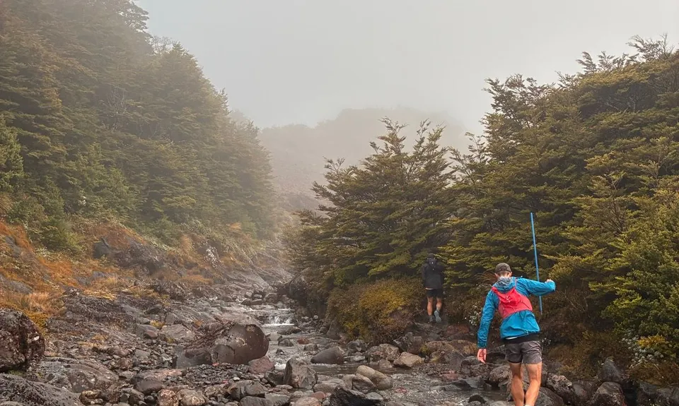 Blyth Alpine Loop, Manawatu - Wanganui