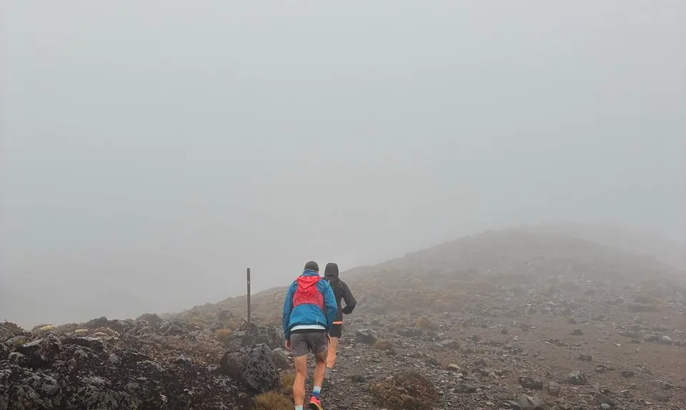 Blyth Alpine Loop, Manawatu - Wanganui
