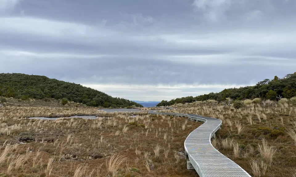 Blyth Hut Return, Manawatu - Wanganui