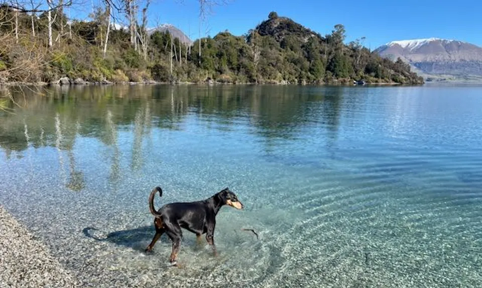 Bob n Sam, Otago