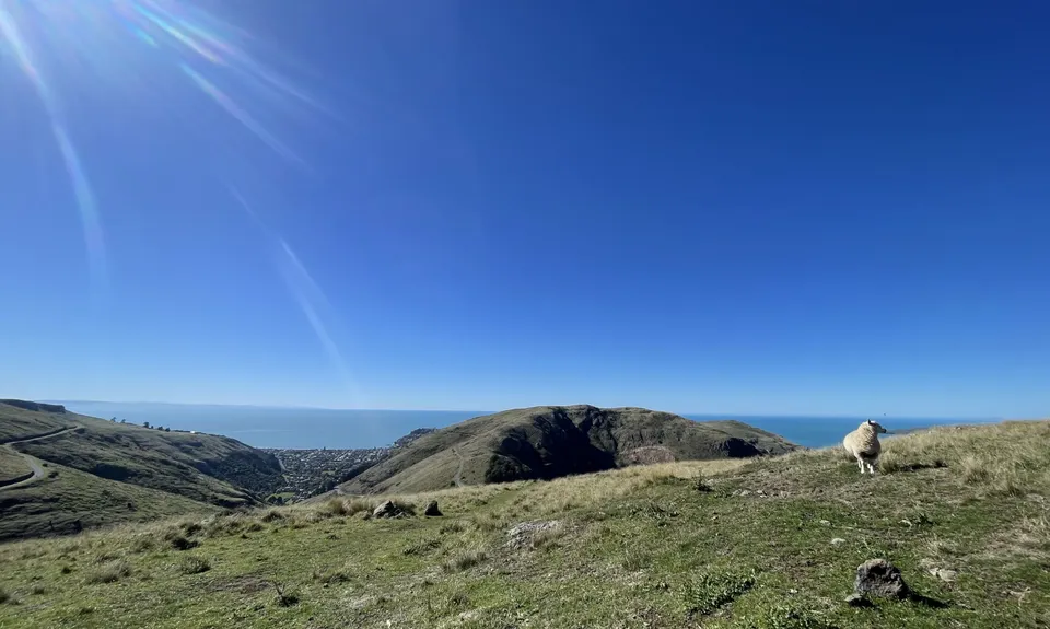 Boulder Dash, Canterbury