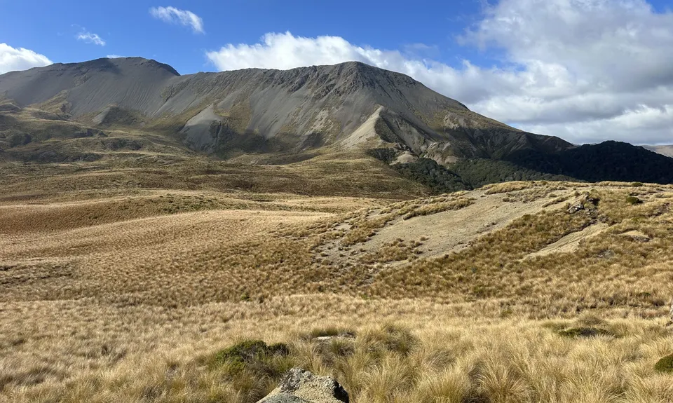 Boyd Creek Tops & Nature Walk, Southland