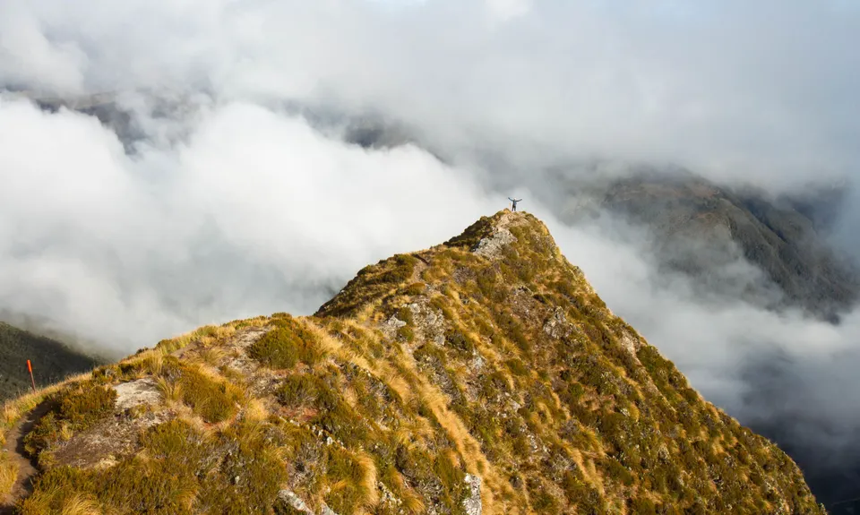Brewster Bimble, Otago