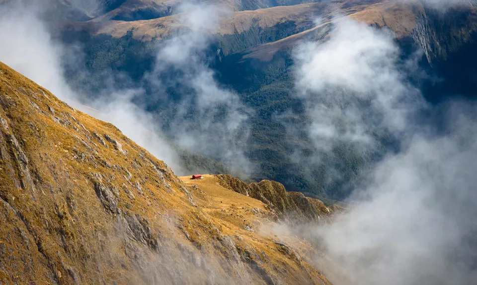 Brewster Bimble, Otago