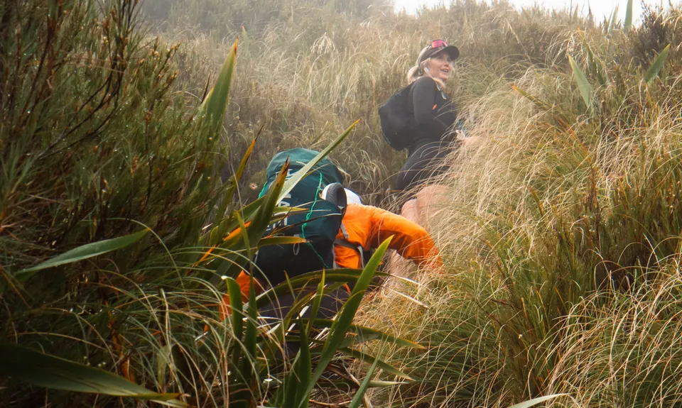 Brewster Bimble, Otago