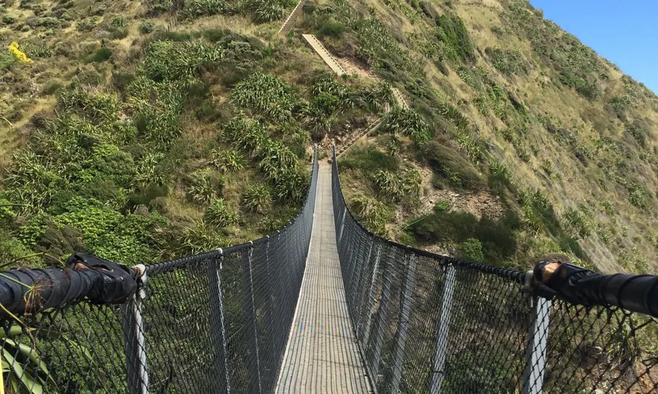Escarpment Track, Wellington