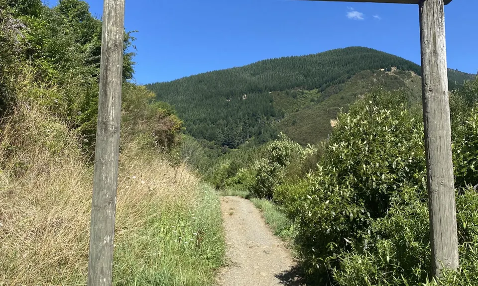 Brook-Fireball-Maitai Loop, Nelson