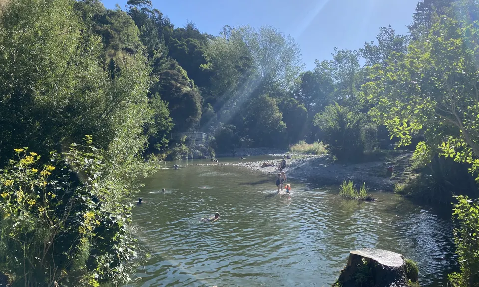 Brook-Fireball-Maitai Loop, Nelson