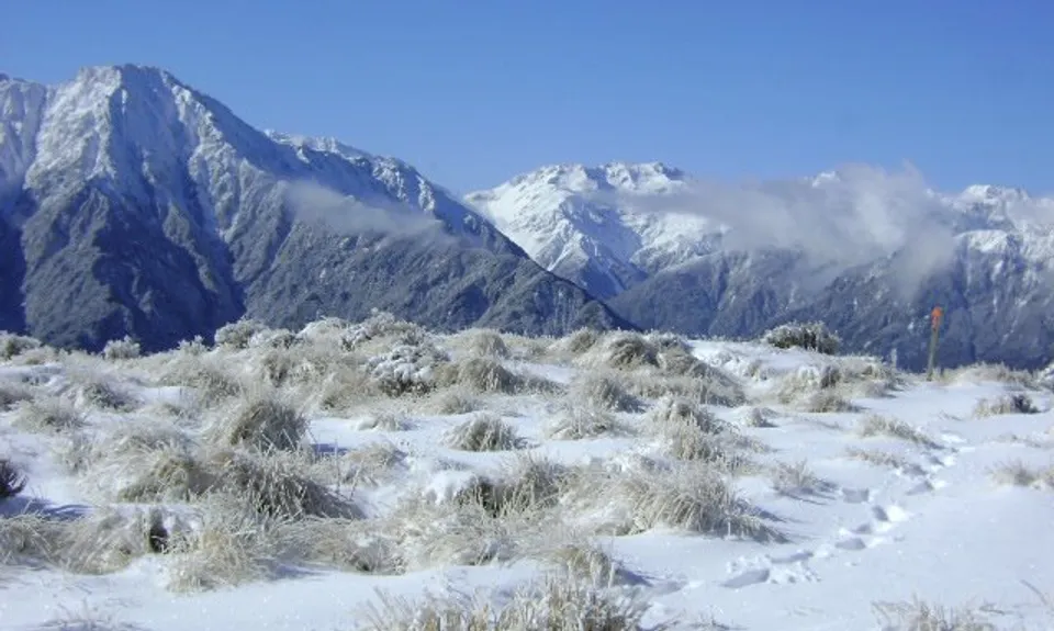 Mt Brown Bonanza, West Coast