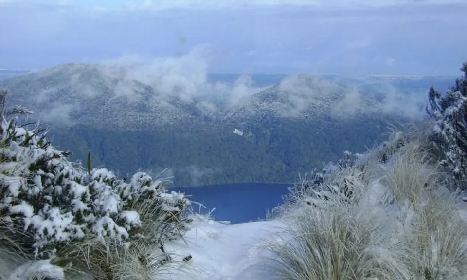 Mt Brown Bonanza, West Coast