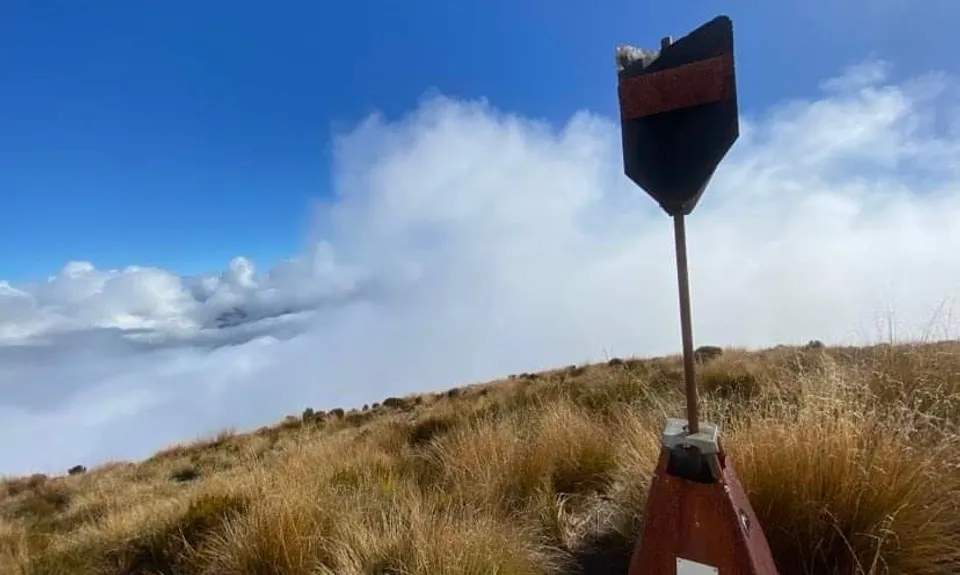 Mount Te Kinga, West Coast