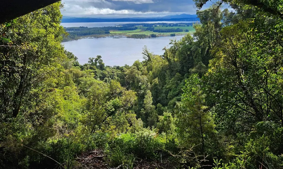 Mount Te Kinga, West Coast