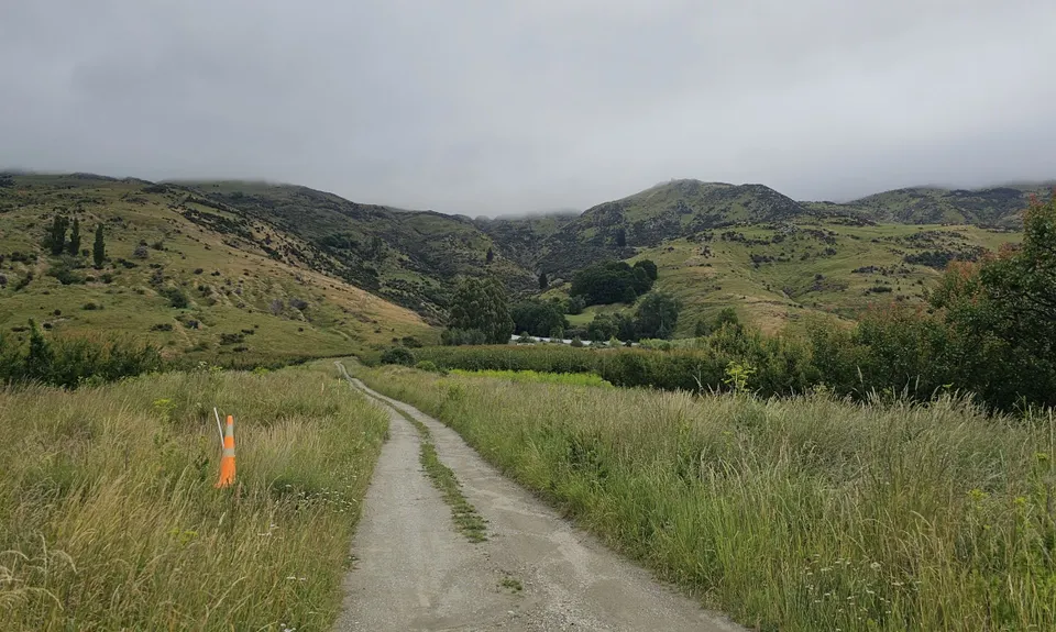 Bullock Track , Otago