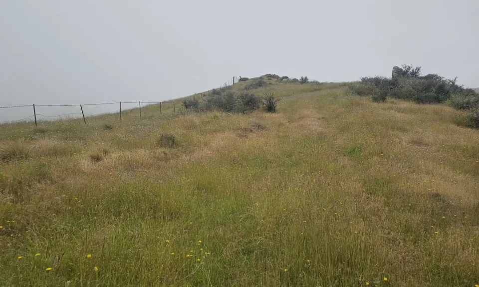Bullock Track , Otago