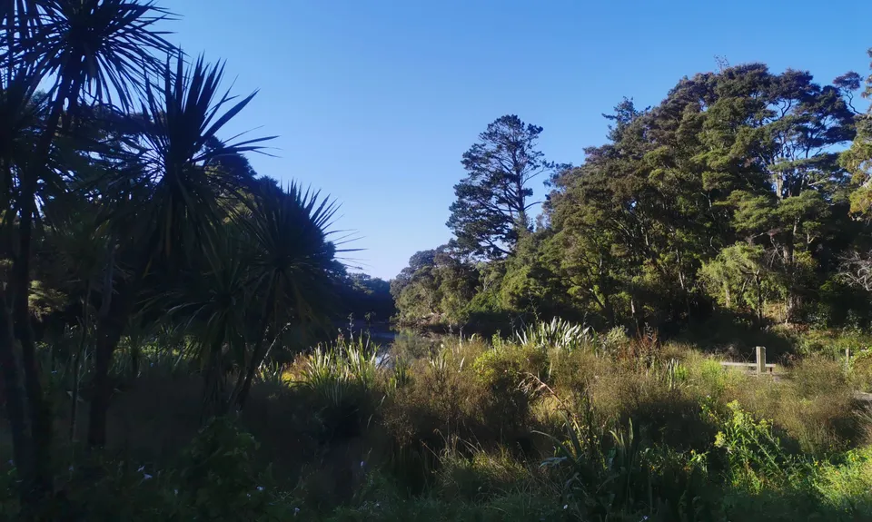 Bus Station to Beer Spot, Auckland