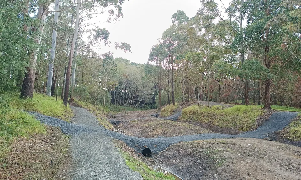 Bush, Gravel & Bridges: The Lake Puketirini Loop, Waikato