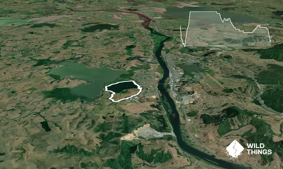 Bush, Gravel & Bridges: The Lake Puketirini Loop, Waikato