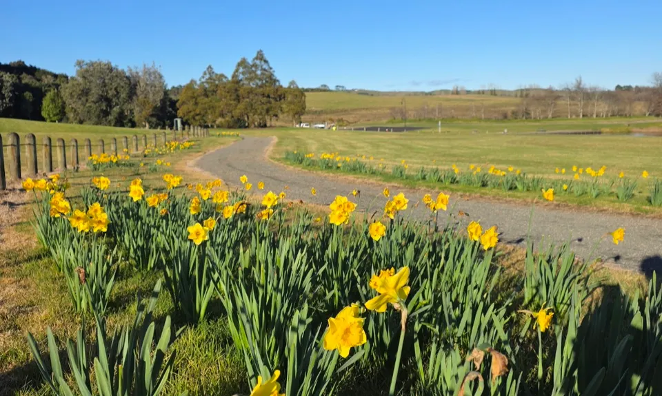 Bush, Gravel & Bridges: The Lake Puketirini Loop, Waikato