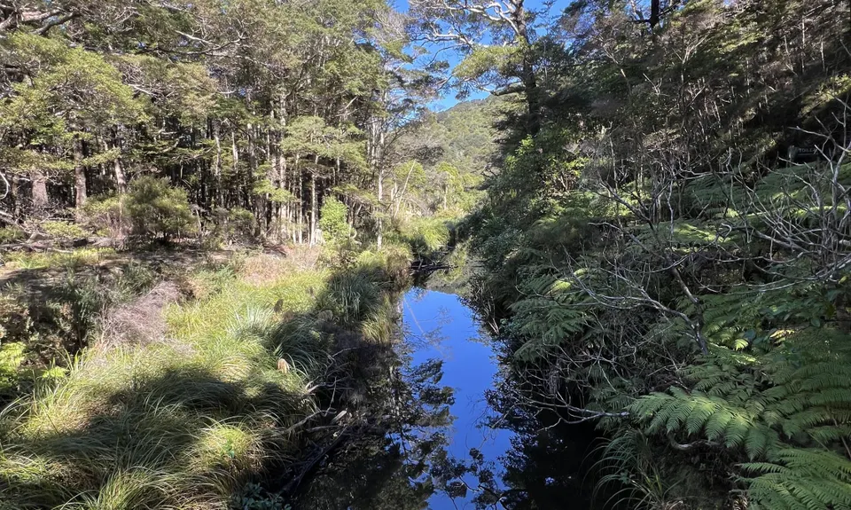 Butterfly Creek Loop, Wellington