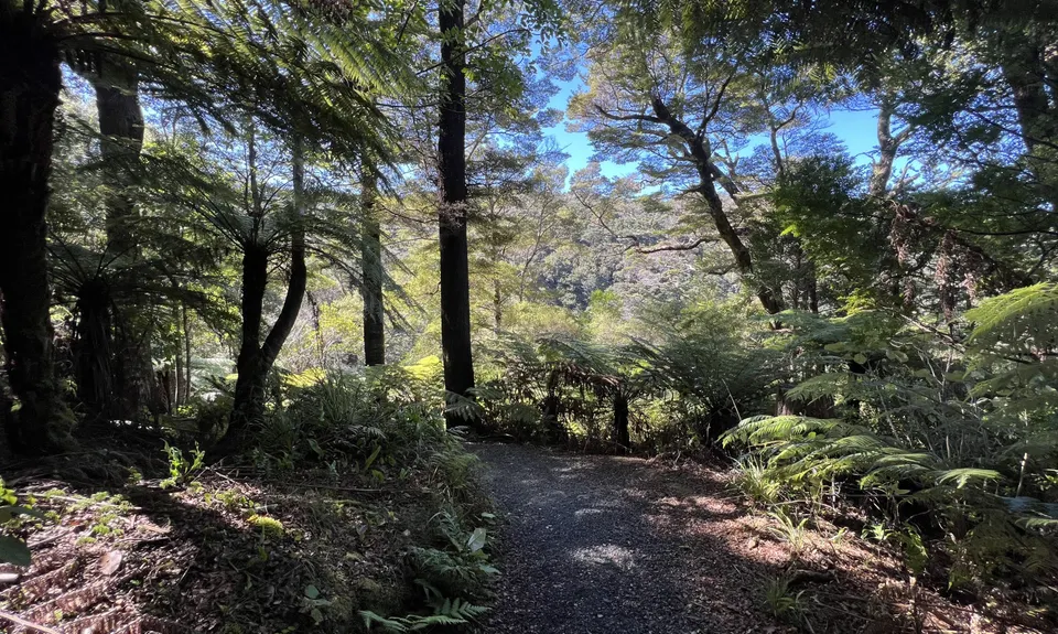 Butterfly Creek Loop, Wellington