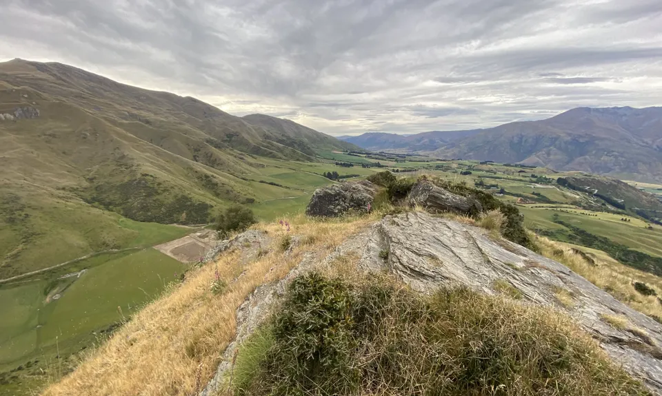 Beat Beetham , Otago