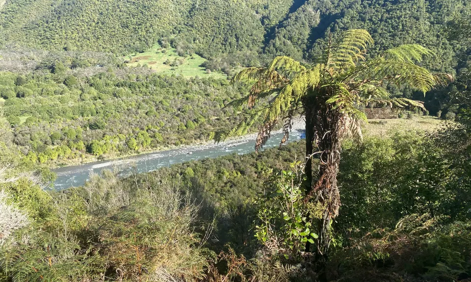 Arcus Loop Track, Wellington