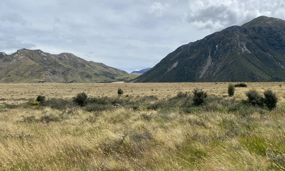 Jollie Brook Loop, Canterbury
