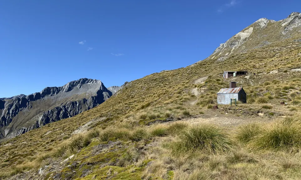McIntosh - Judah Loop , Otago